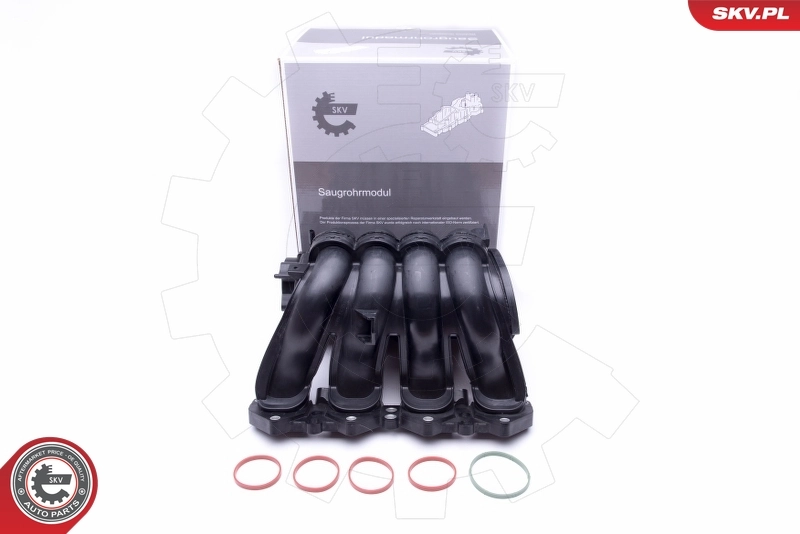 Intake Manifold Module